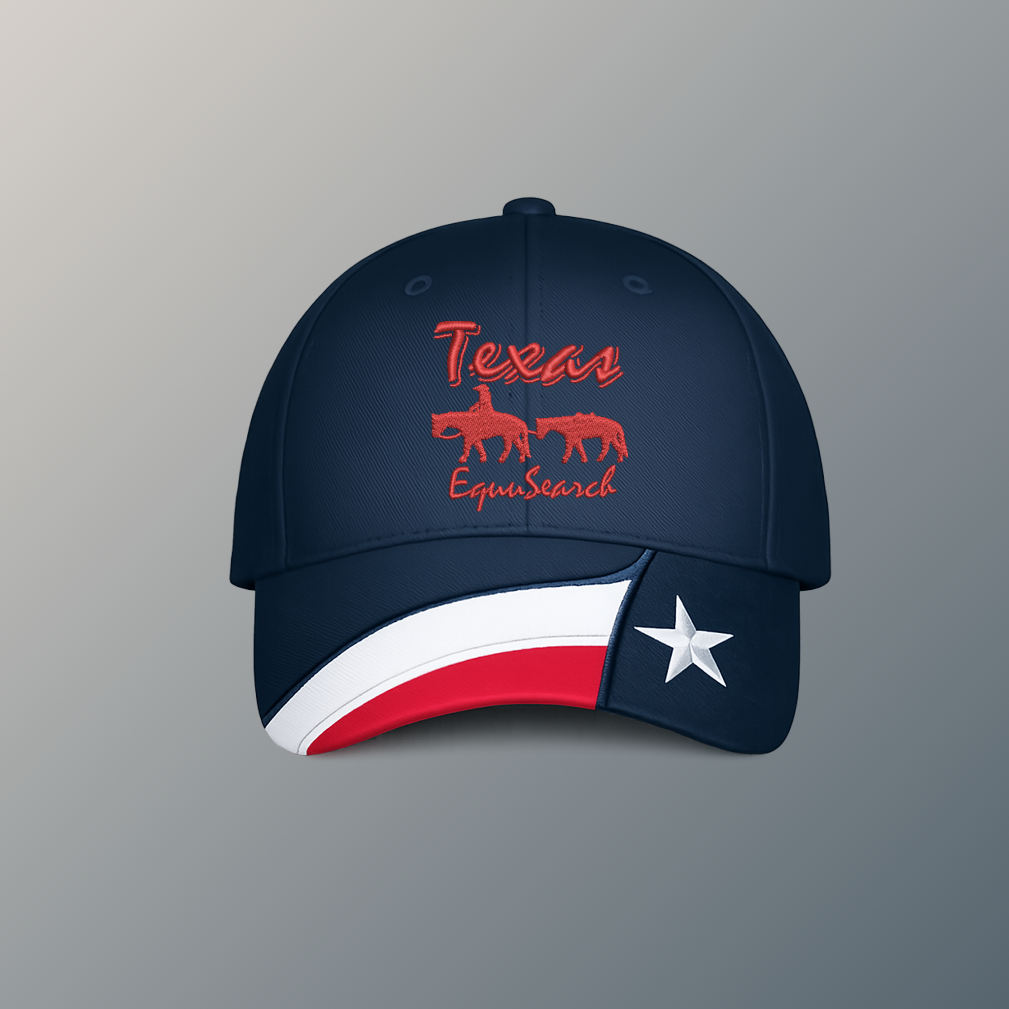 Texas Navy hat
